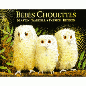 bebes_chouettes